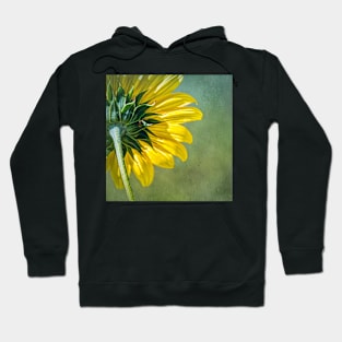 Sunny Backside of Prairie Sunflower by Debra Martz Hoodie